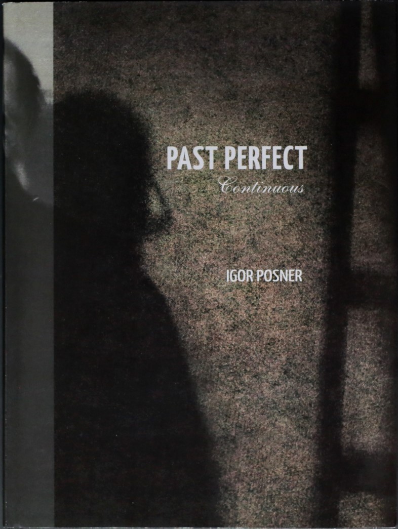 Past Perfect Continuous