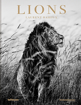 Lions