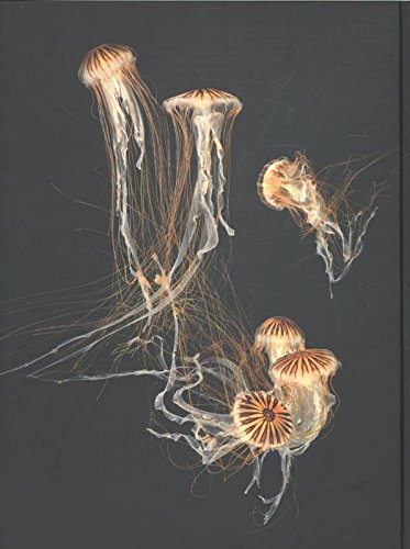 Evolution sample 2
