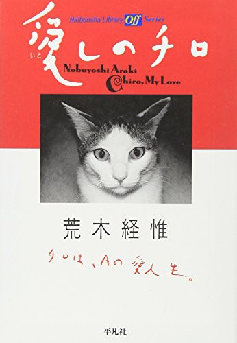 Chiro My Love