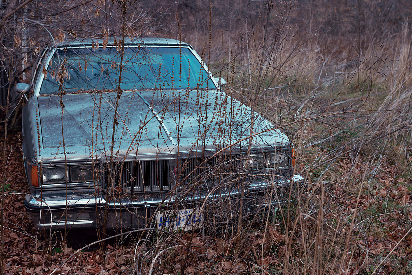 Northern Noir sample 11