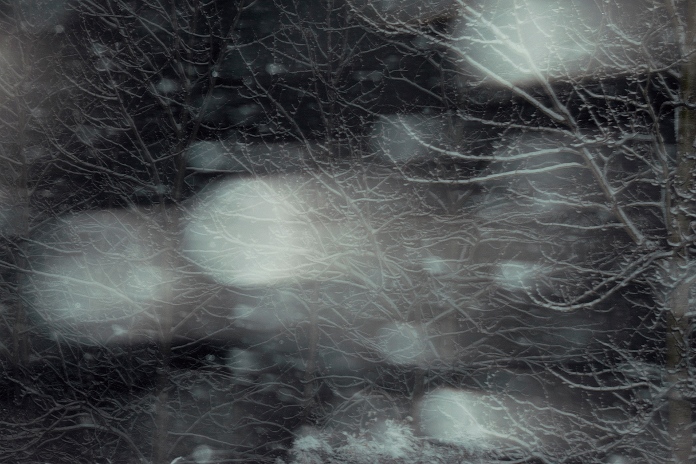 Northern Noir sample 16
