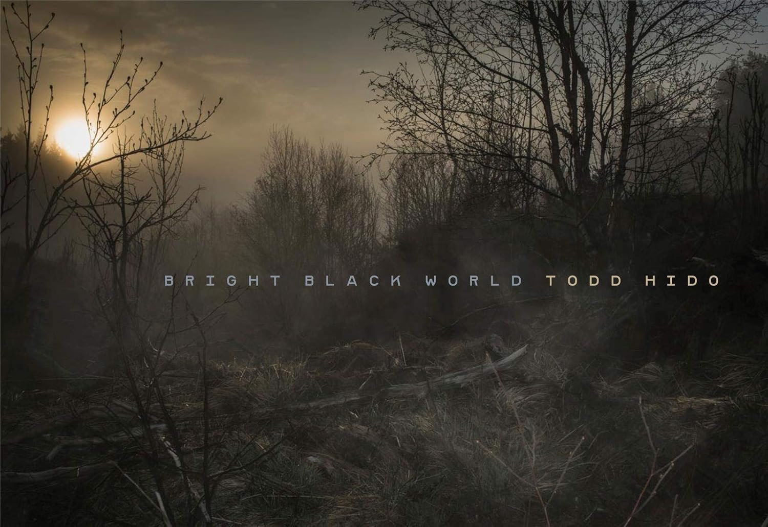 Bright Black World