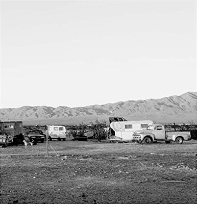 Dogs Chasing My Car in the Desert