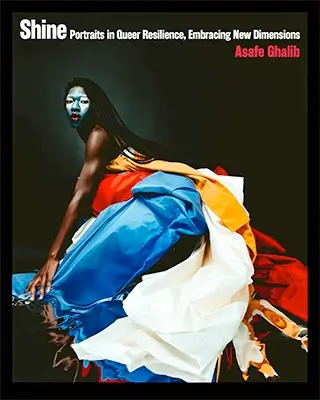 Shine: Portraits in Queer Resilience, Embracing New Dimensions