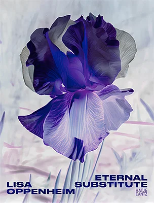 Lisa Oppenheim: Works