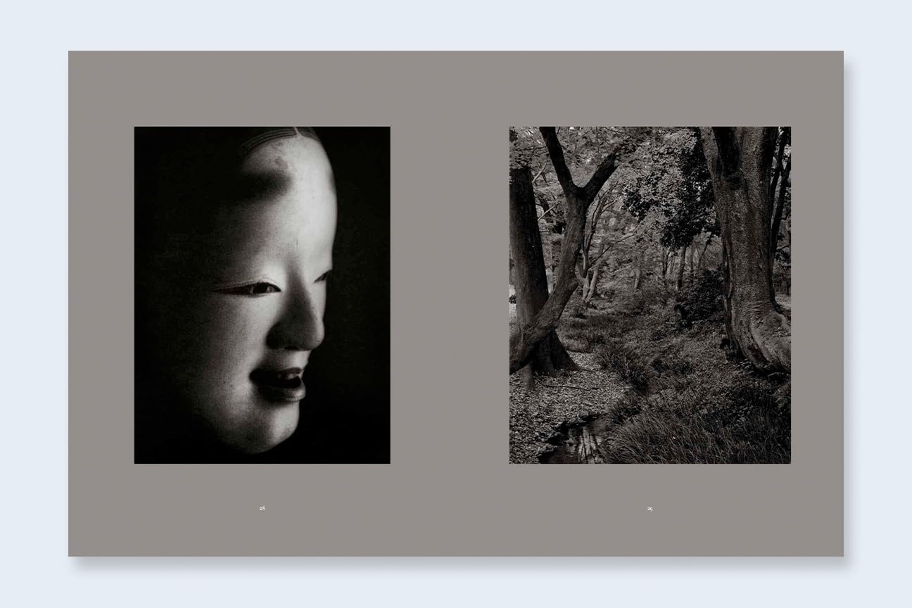 Mono No Aware: The Beauty of Impermanence sample 4