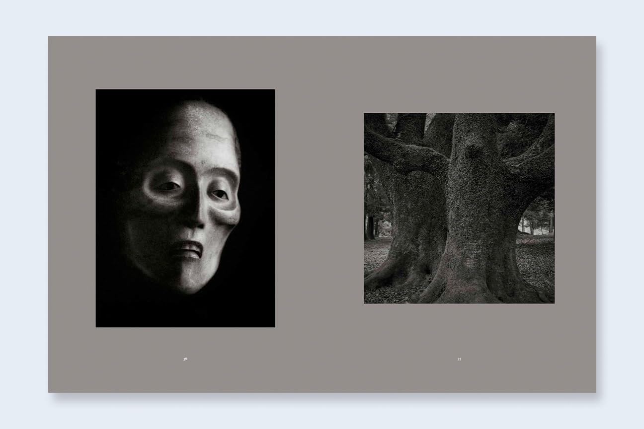 Mono No Aware: The Beauty of Impermanence sample 6