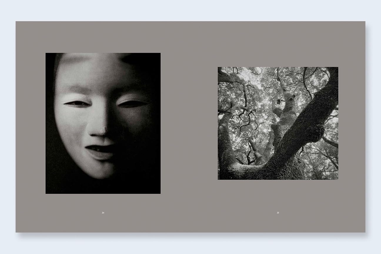 Mono No Aware: The Beauty of Impermanence sample 7