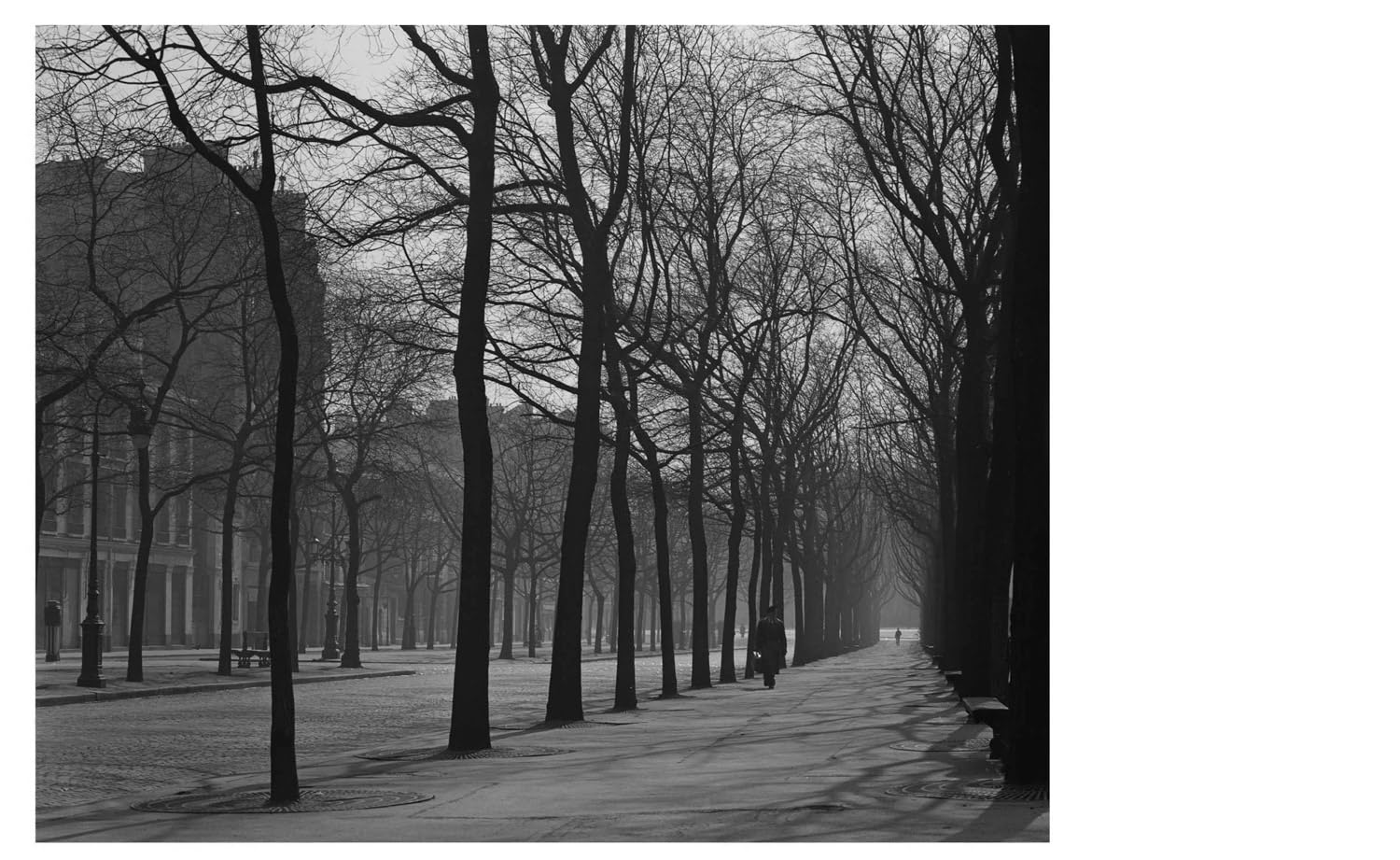 Paris: A Love Story: 1948-1952 sample 6