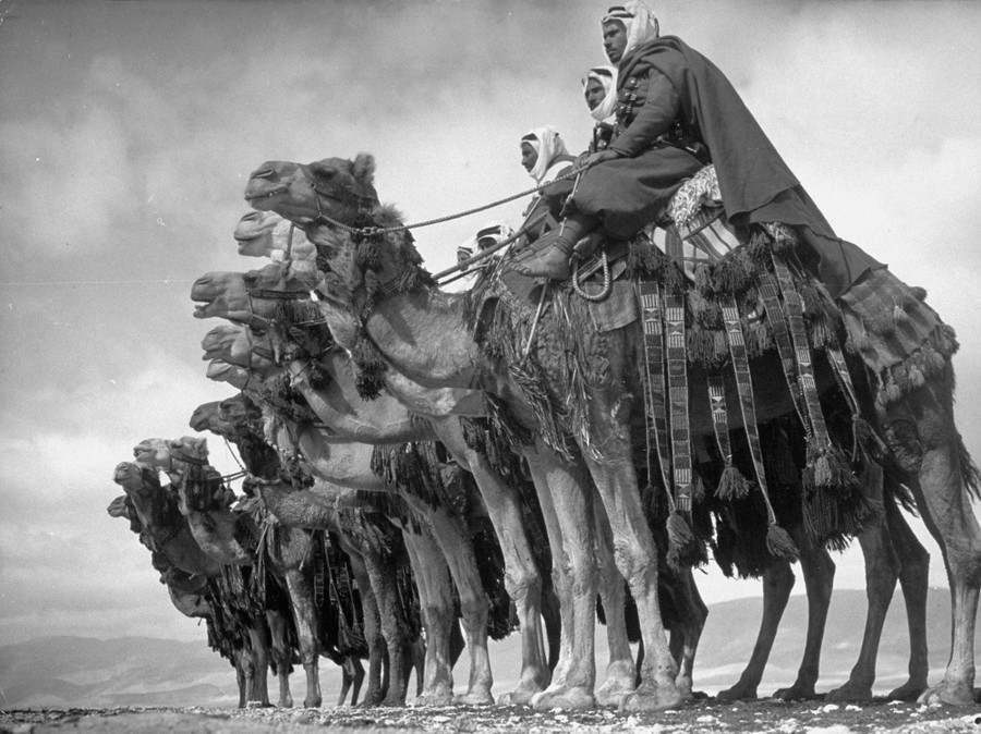 Margaret Bourke‑White: The Early Work, 1922–1939 sample 18