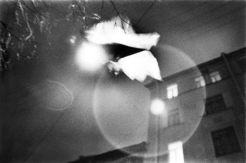 03-posner.petersburg