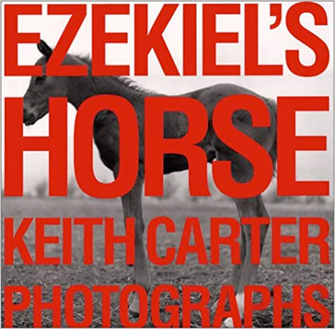 Ezekiel's Horse