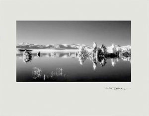 Prism Series Book #2