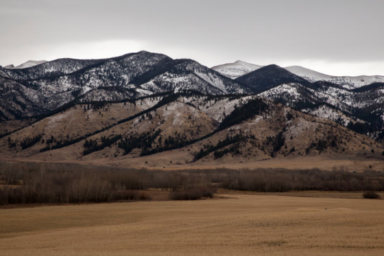 I Am About to Call It a Day｜我正要结束这一天 内页 13