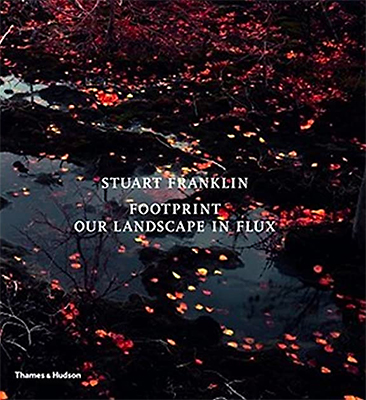 Our Landscape in Flux