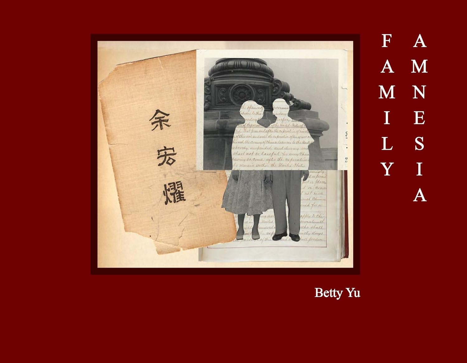 Family Amnesia: Chinese American Resilience｜家庭失忆：华裔美国人的韧性