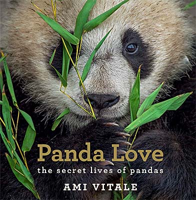 The Secret Lives of Pandas