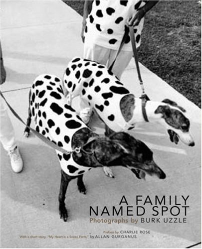 A Family Named Spot: Photographs by Burk Uzzle｜名为Spot的家庭：伯克·乌兹摄影集
