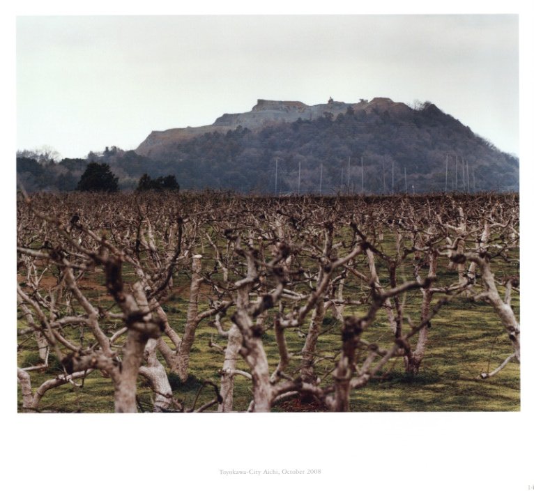 Babel: Ordinary Landscapes sample 8