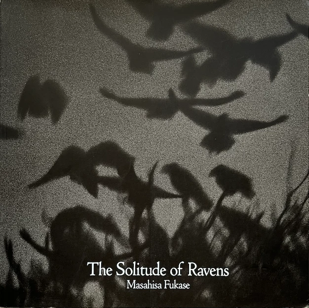 The Solitude of Ravens｜乌鸦的孤独