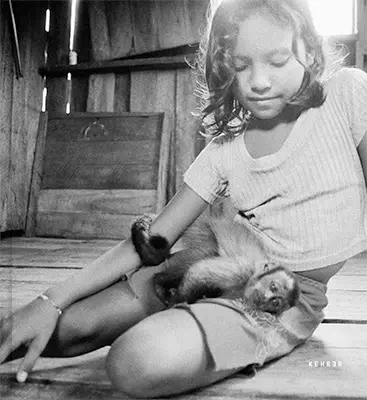 The Enchanted Ones｜魅惑之人