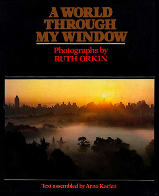 A World Through My Window