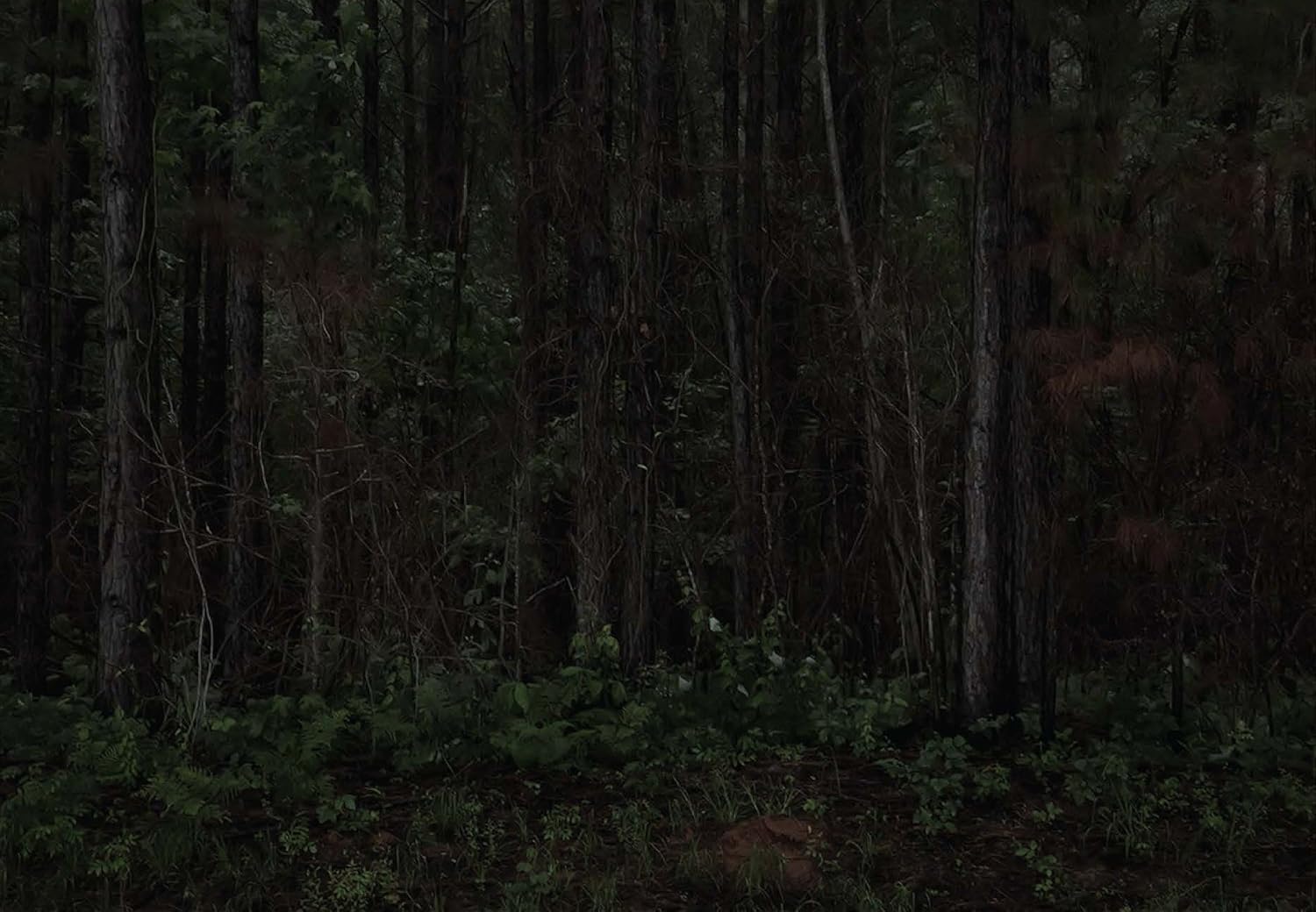 Through Darkness to Light: Photographs Along the Underground Railroad sample 1