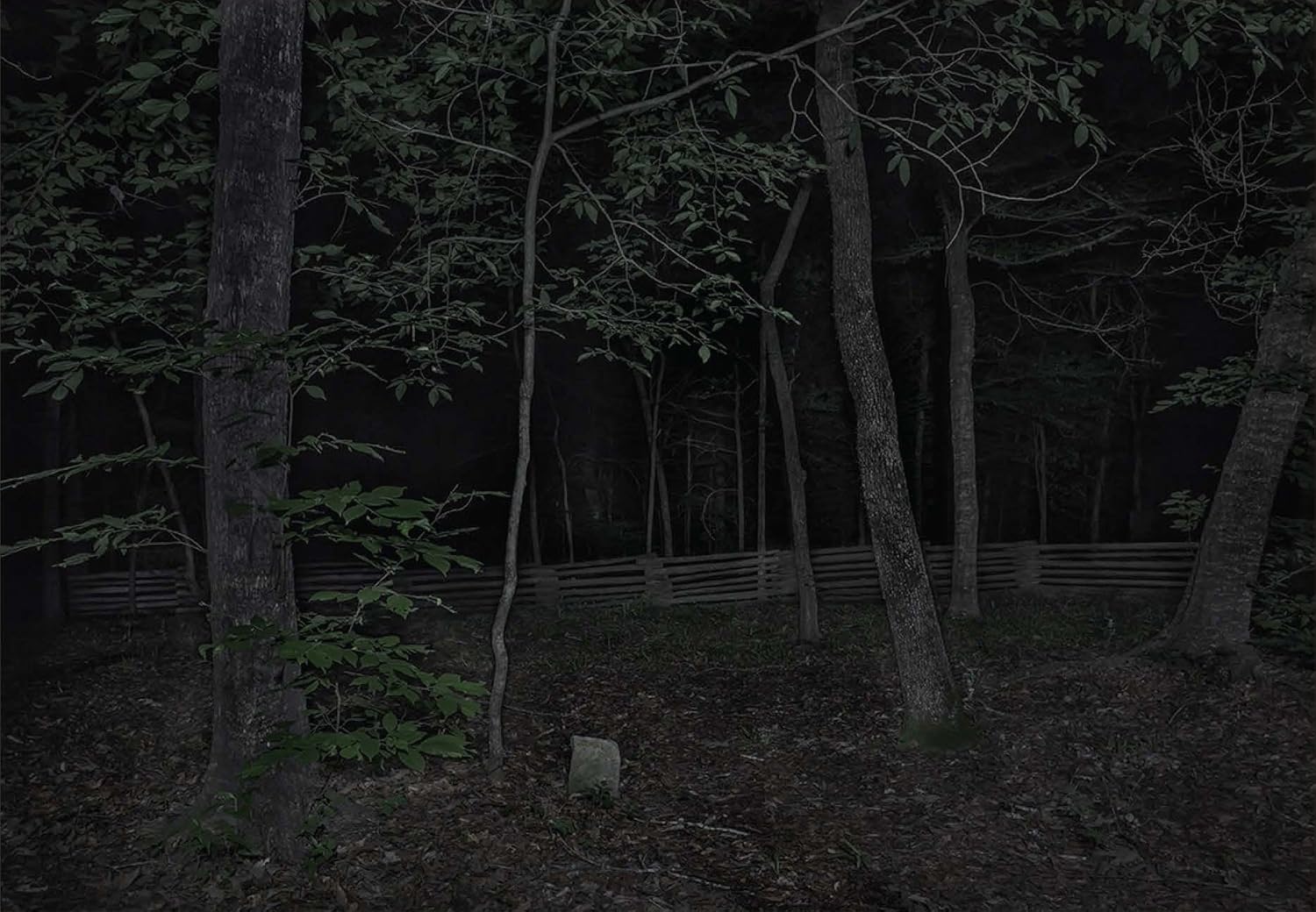 Through Darkness to Light: Photographs Along the Underground Railroad sample 3