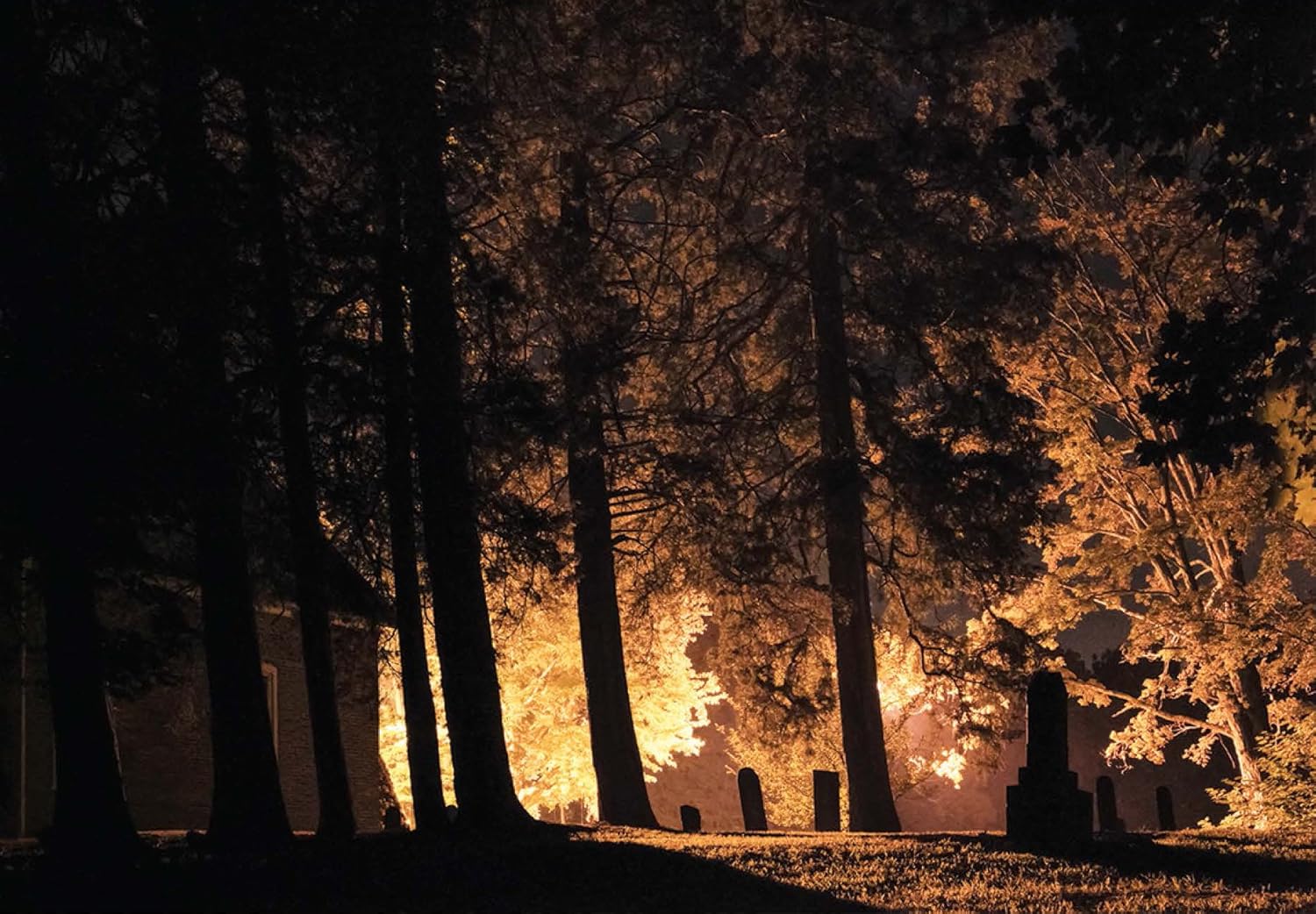 Through Darkness to Light: Photographs Along the Underground Railroad sample 6