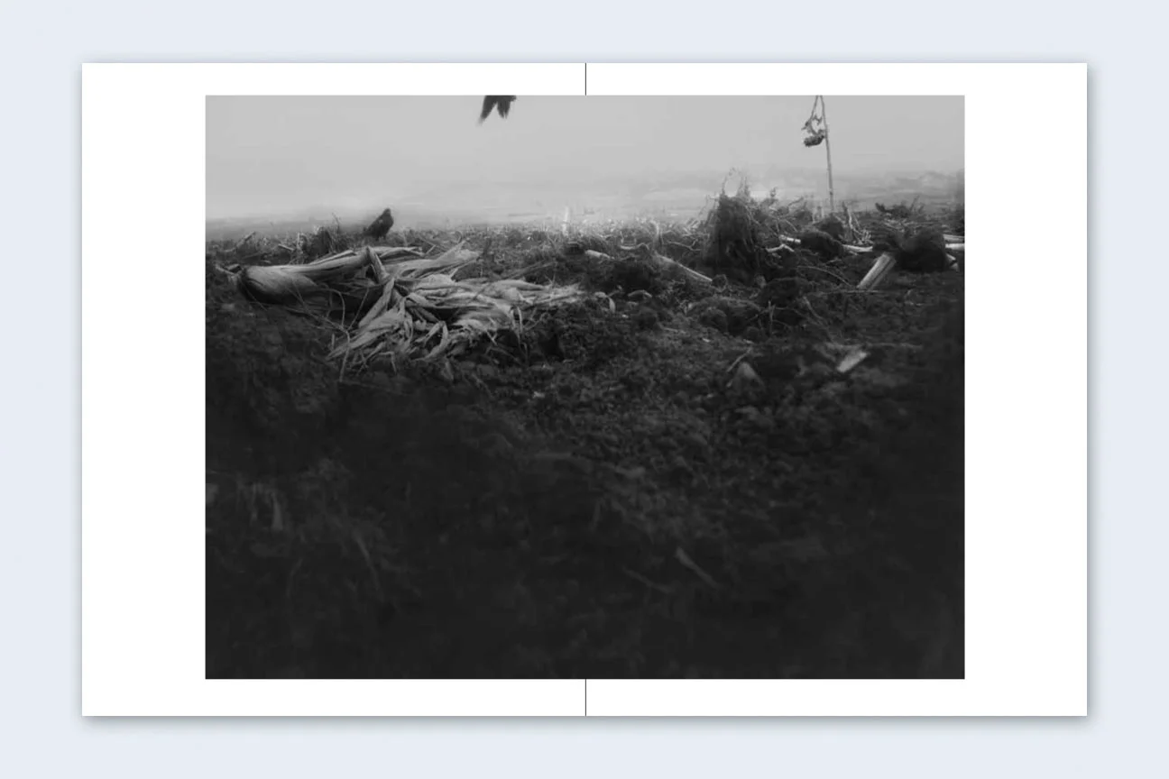 Doctrine of an Axe sample 2