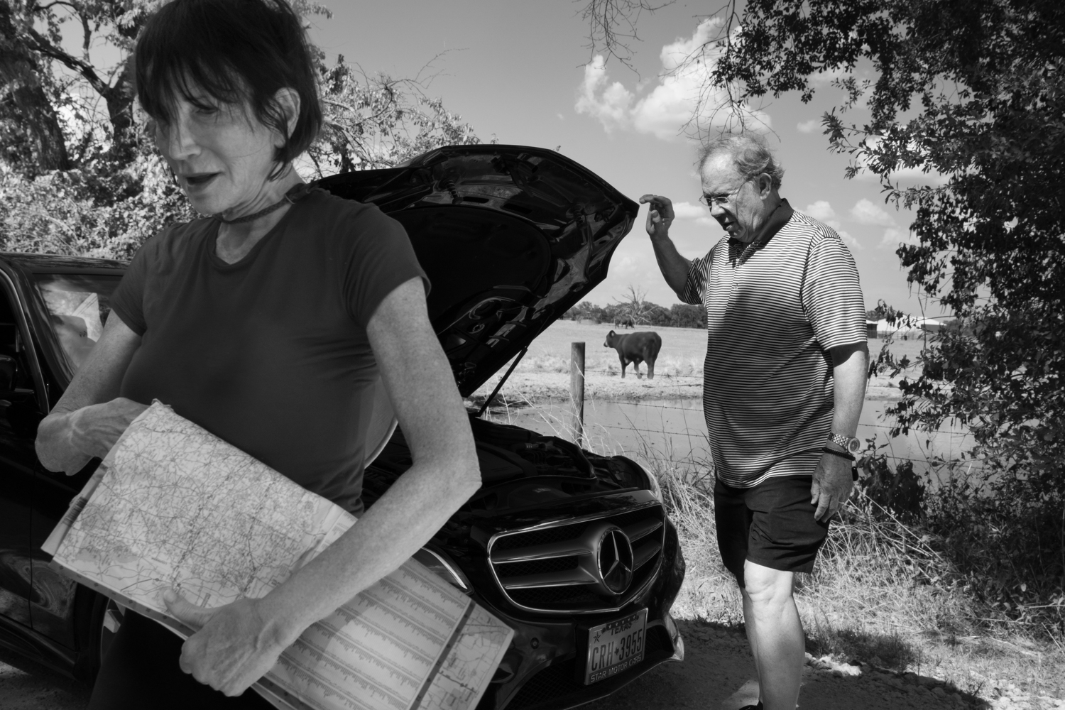 A Day in the Country