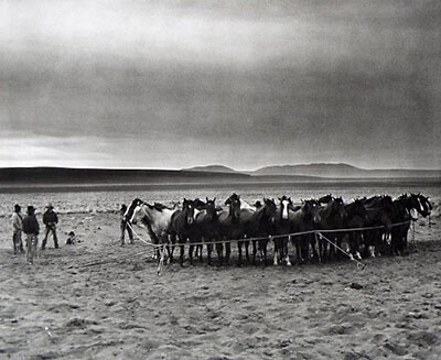 After Barbed Wire: Cowboys of Our Time｜铁丝网之后：当代牛仔