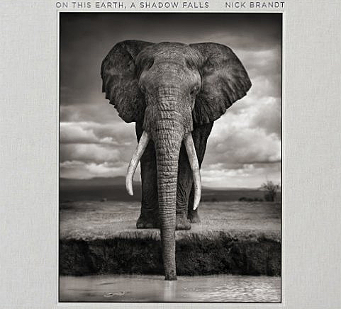 On This Earth, A Shadow Falls｜在这片土地上，阴影在飘落