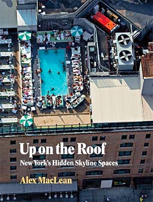 New York's Hidden Skyline Spaces