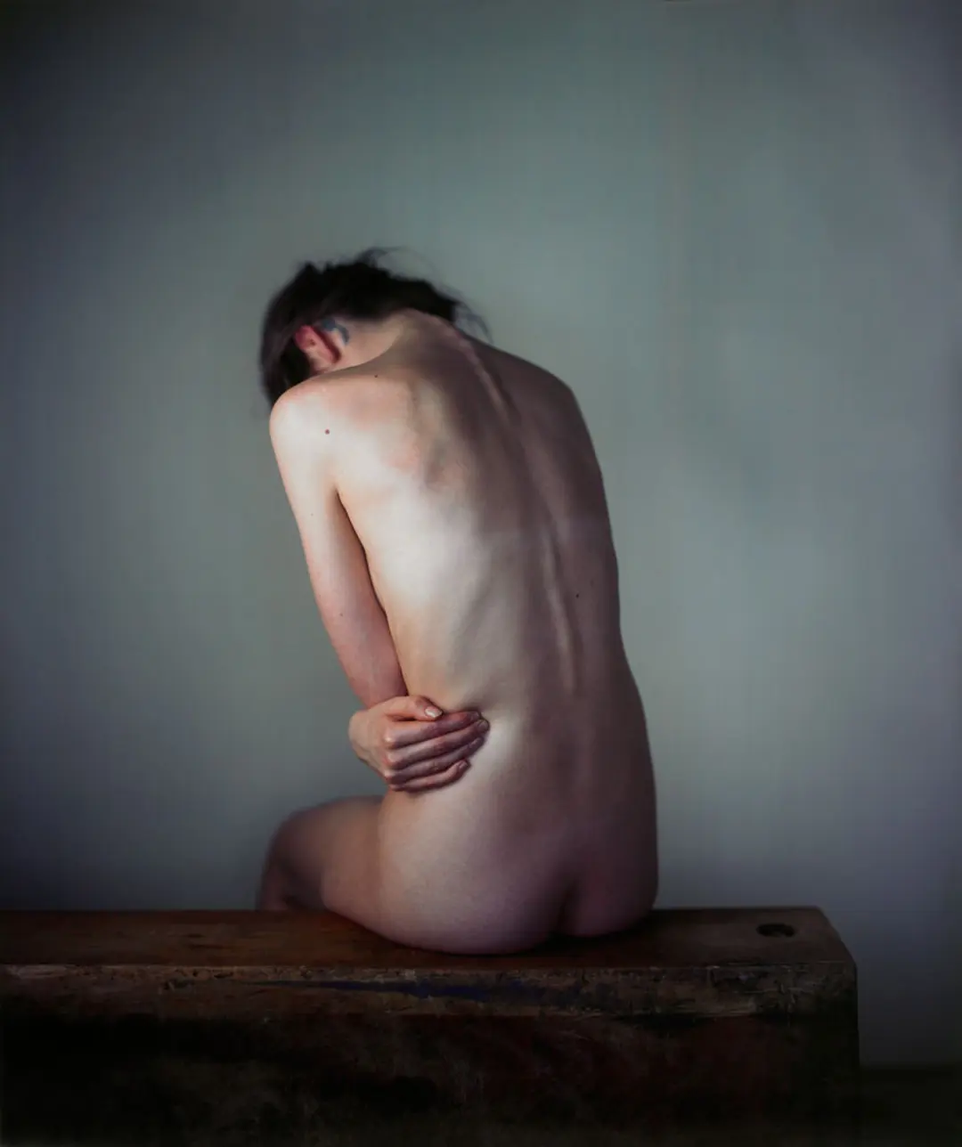 Richard Learoyd: Presences sample 1