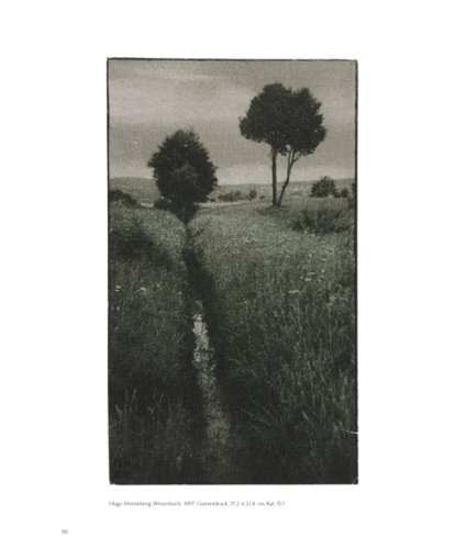 Perfect Photography sample 3