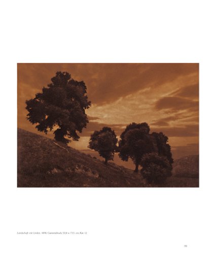 Perfect Photography sample 4