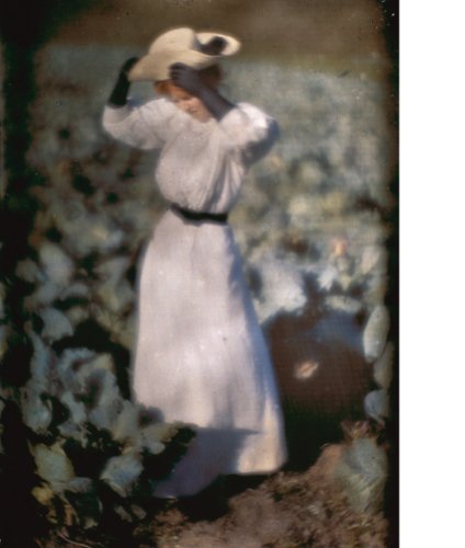 Perfect Photography sample 7