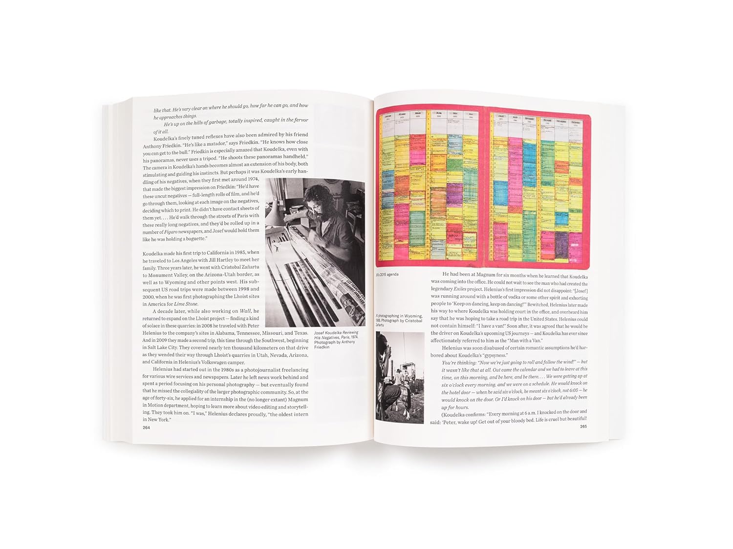 81J5ZVx2gWL._SL1500_