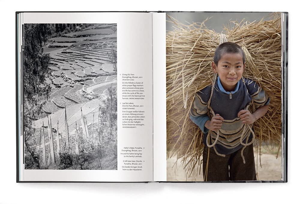 61cFhB+uhtL._SL1000_