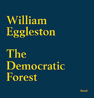 The Democratic Forest｜民主的森林