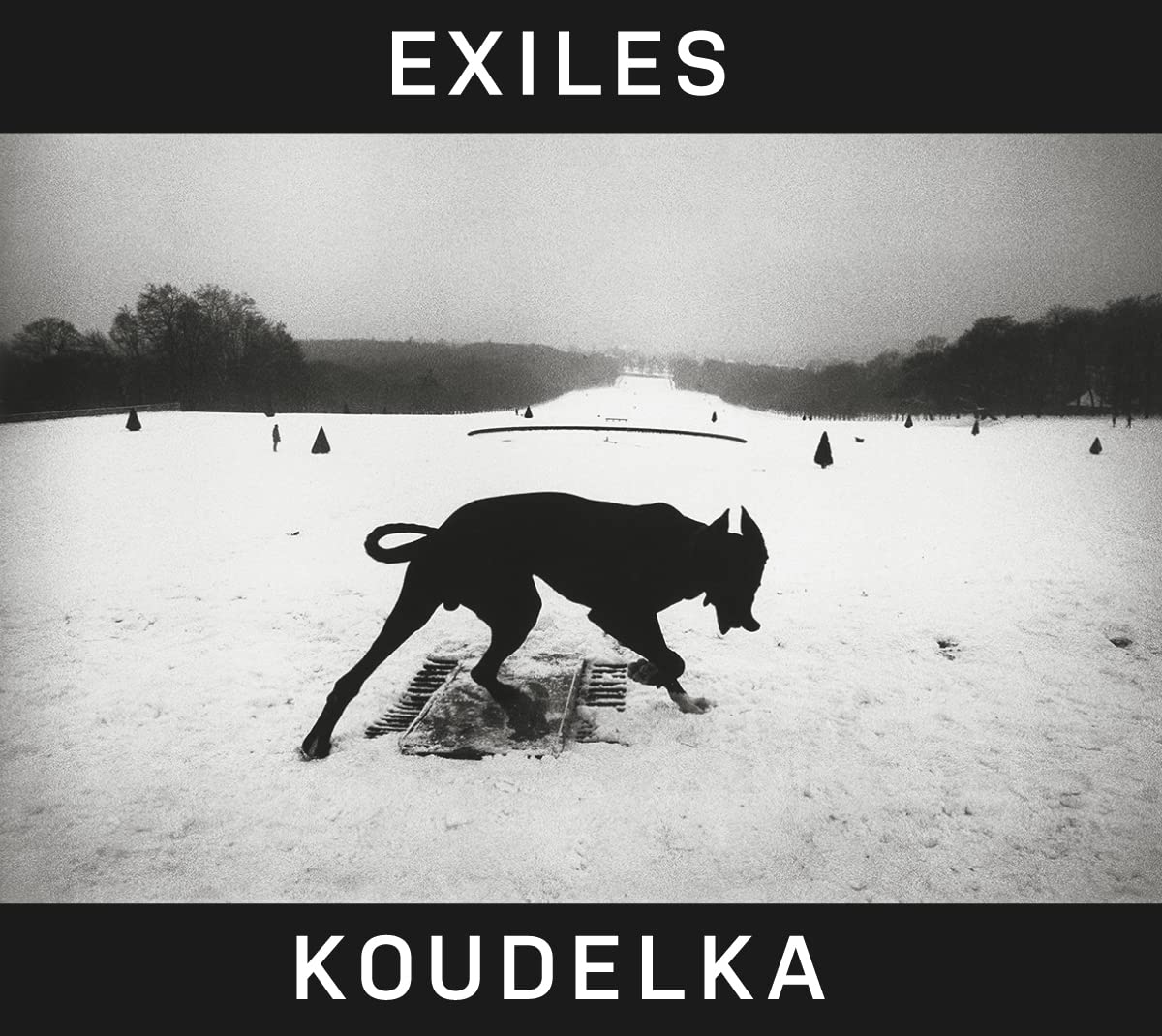 Exiles｜流放