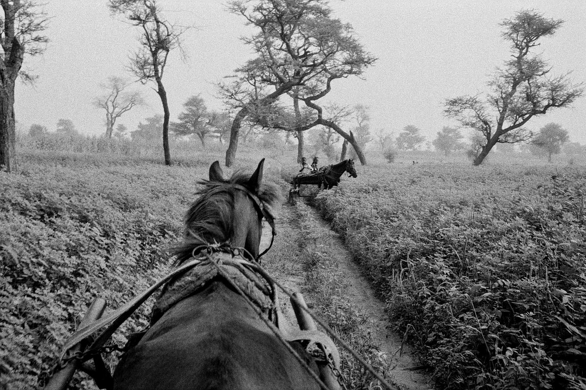 David Katzenstein: Distant Journeys sample 5