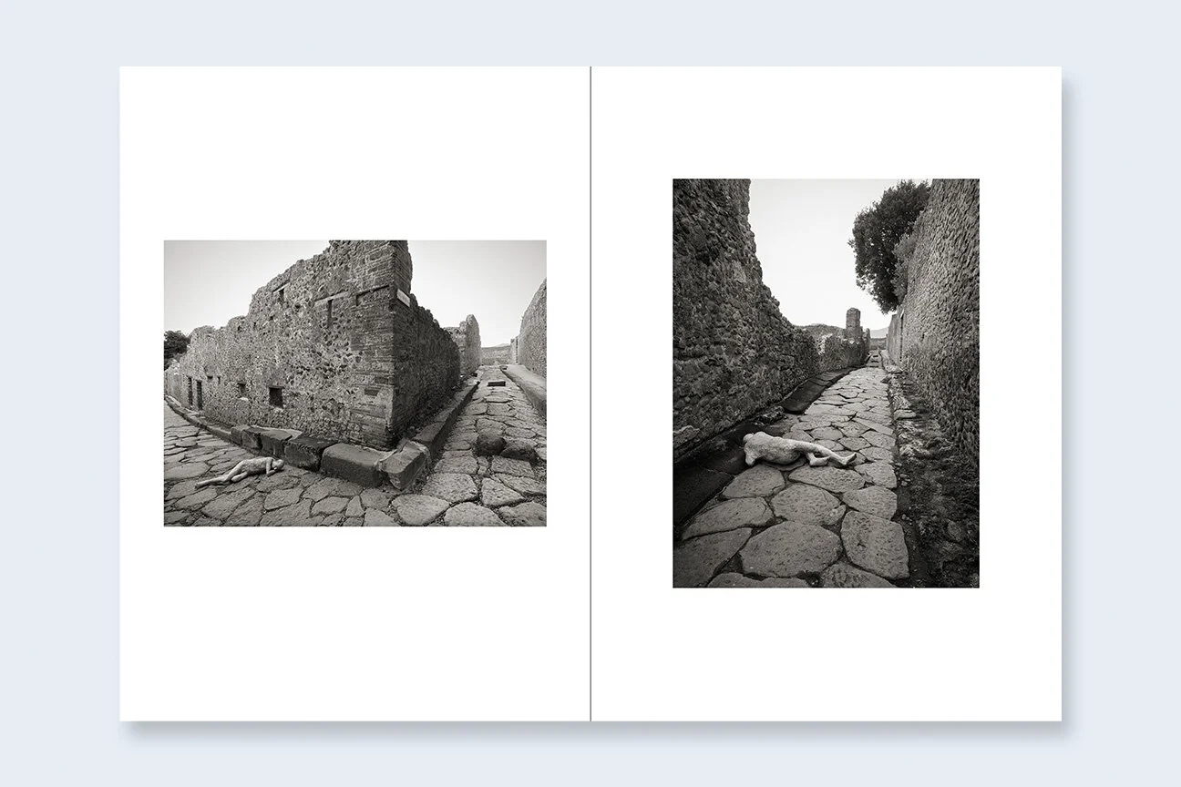 One Picture Book Two #15: Requiem sample 2