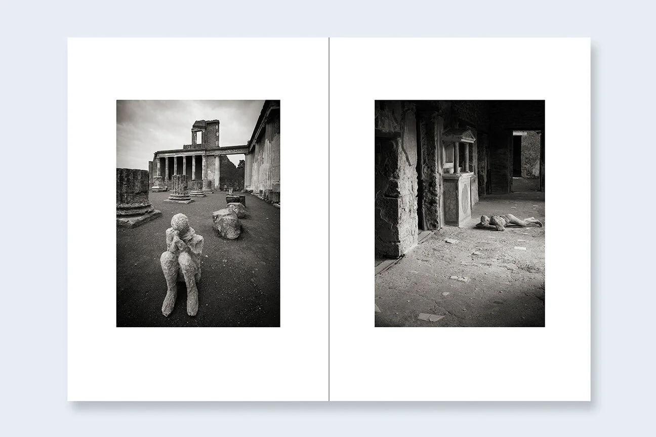One Picture Book Two #15: Requiem sample 3