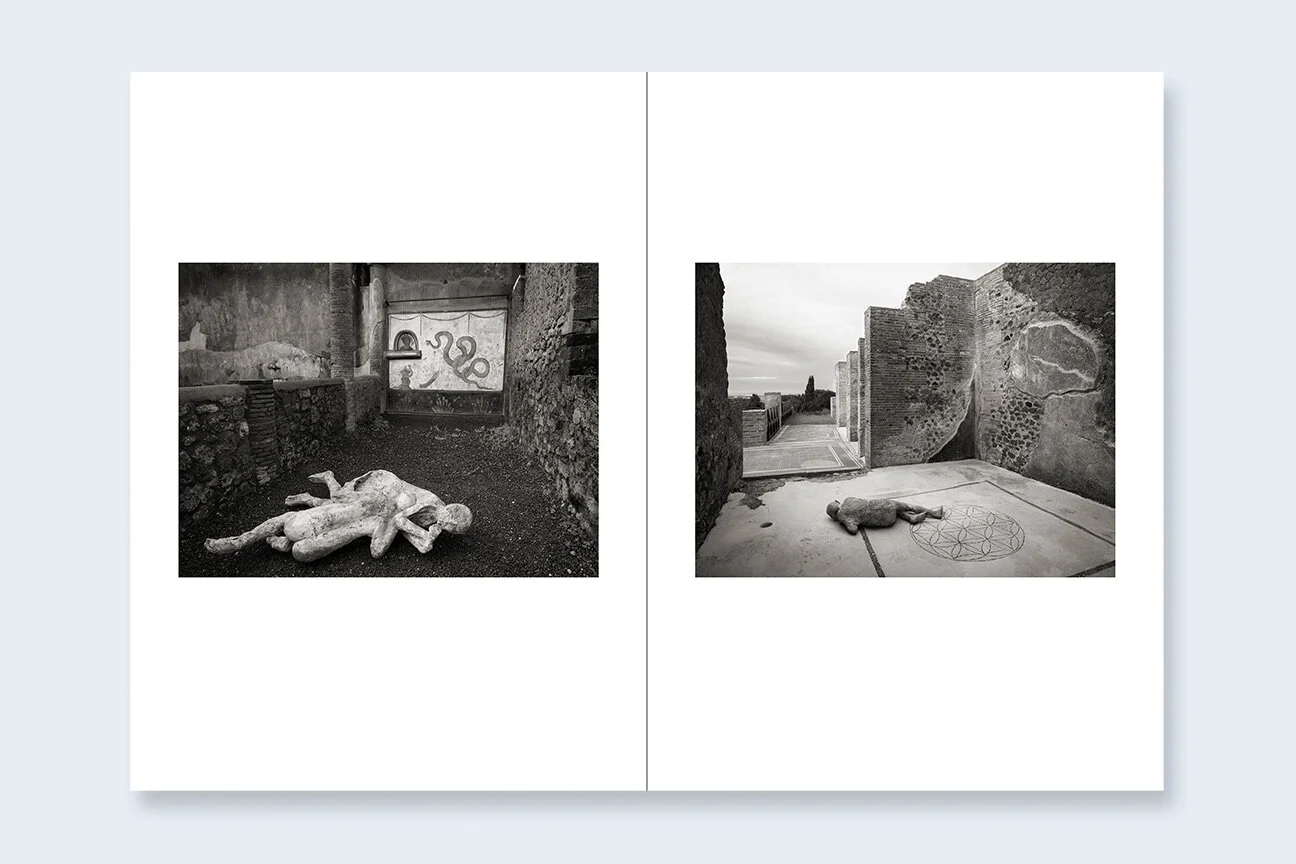 One Picture Book Two #15: Requiem sample 4