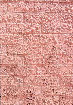 Californian Wildflowers