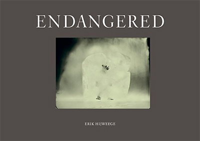 Endangered｜濒危物种