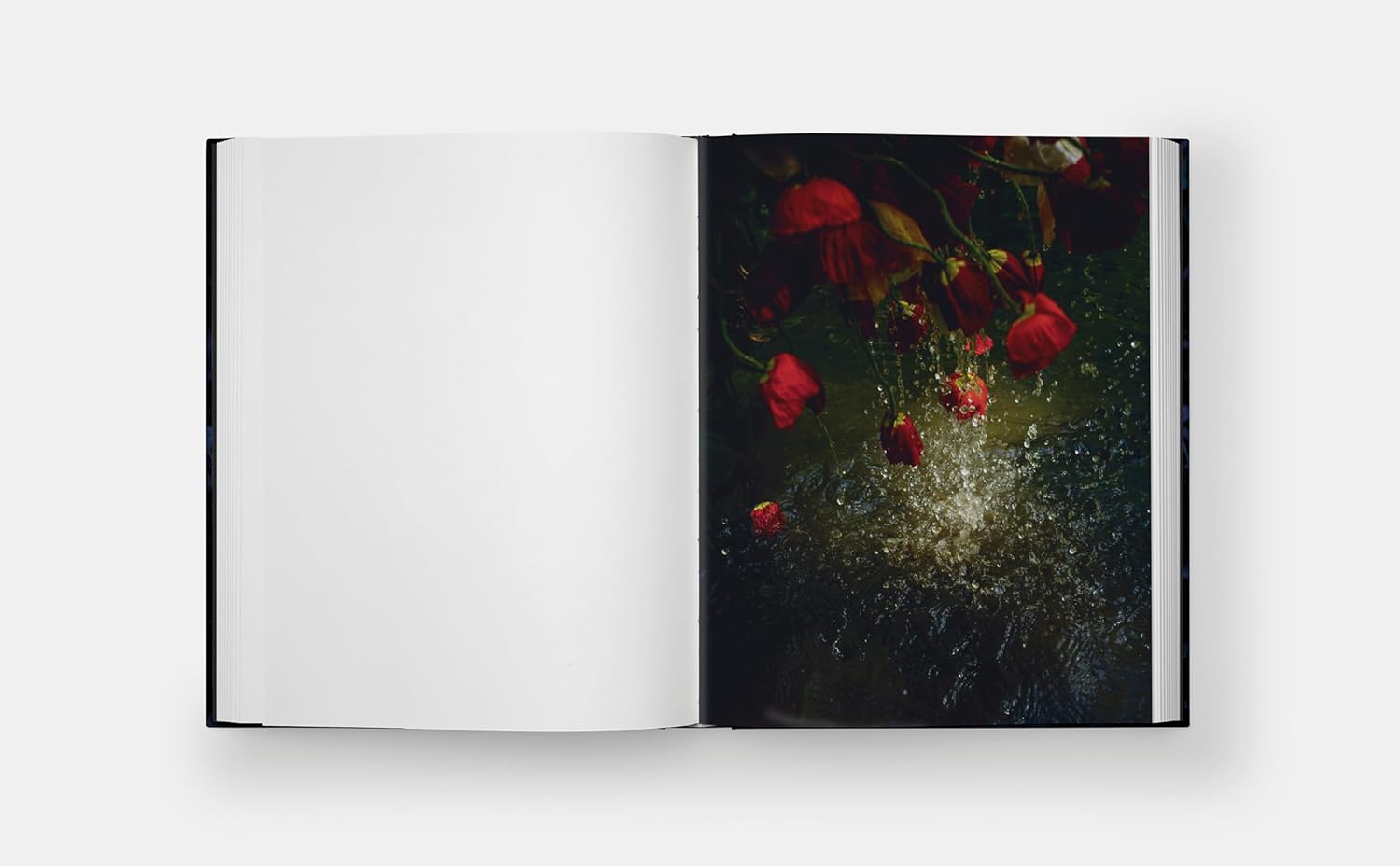 Blue Violet sample 1